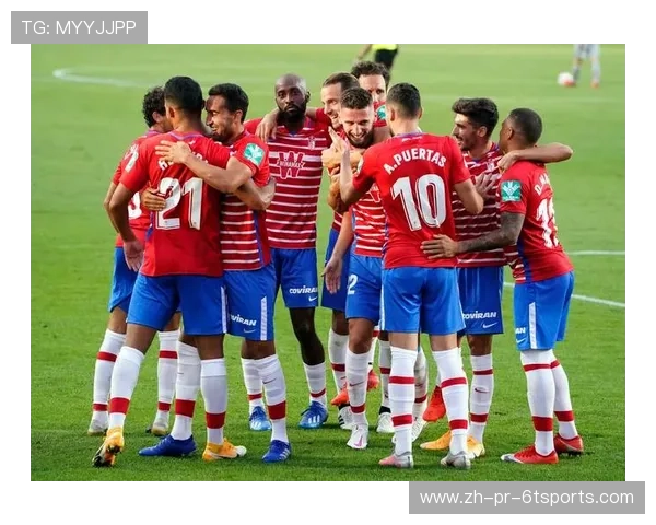 西甲联赛视频录像：观看西甲联赛完整视频录像与精彩集锦